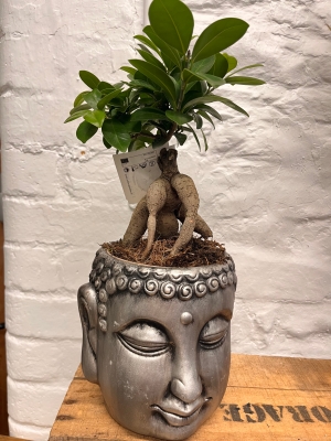 Budda head planter