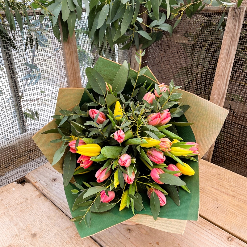 Tulip treasure