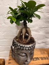 Budda head planter