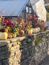 Autumn Gatherings arrangement workshop £45