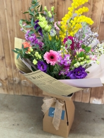 Spring meadow serenade