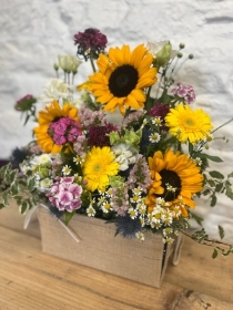 Summer Meadow box