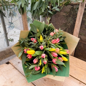 Tulip treasure